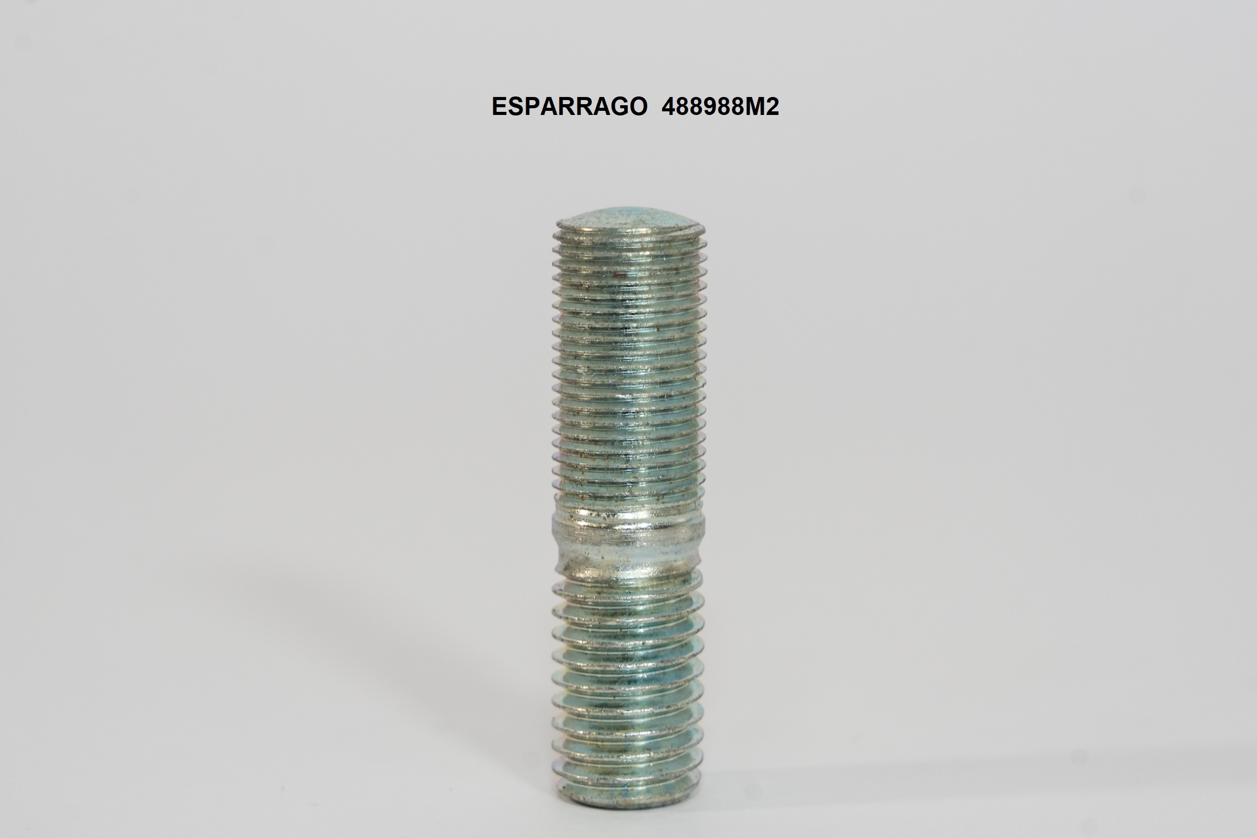 Espárrago 488988M2